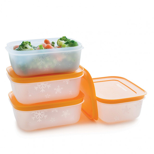 Tupperware Alaska Serisi Derin Dondurucu Saklama Kabı 4Lü Set - 5