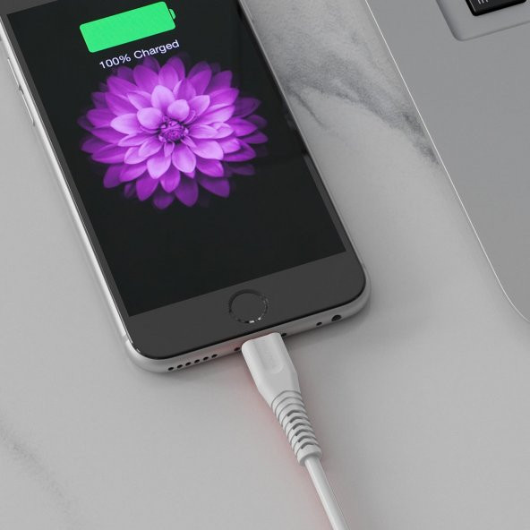 Nautica C100 USB-C to Lightning PD 18W Hızlı Şarj ve Data Kablosu 1.2 Metre Beyaz - 4