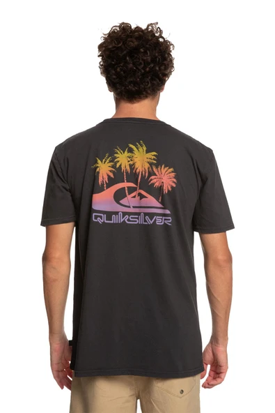 Quiksilver EQYZT07252 Pastımeparadise Erkek T-shirt - Resim 9