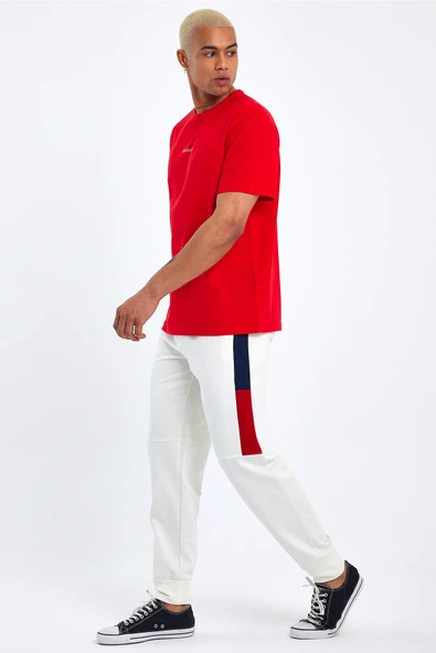 Süperlife Erkek Garnili Regular Fit İnce Eşofman Altı SPR23EA351 - Resim 2