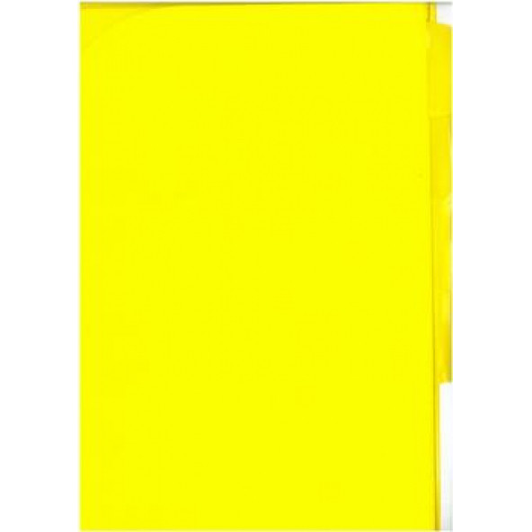 Smato A4 10 Bölmeli Seperatörlü Dosya Sarı