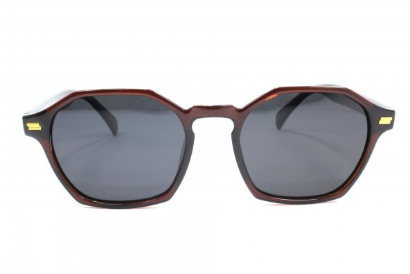 1089 C278 50 Polo Exchange Polarize Güneş Gözlüğü ürün görseli 1