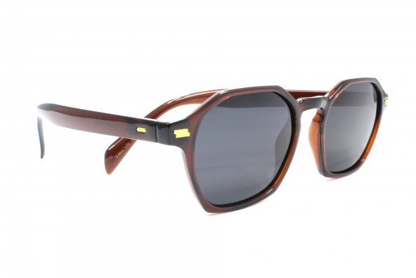 1089 C278 50 Polo Exchange Polarize Güneş Gözlüğü - Resim 2