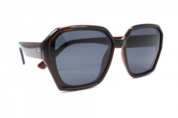 1095 C101 52 Polo Exchange Polarize Güneş Gözlüğü - 2