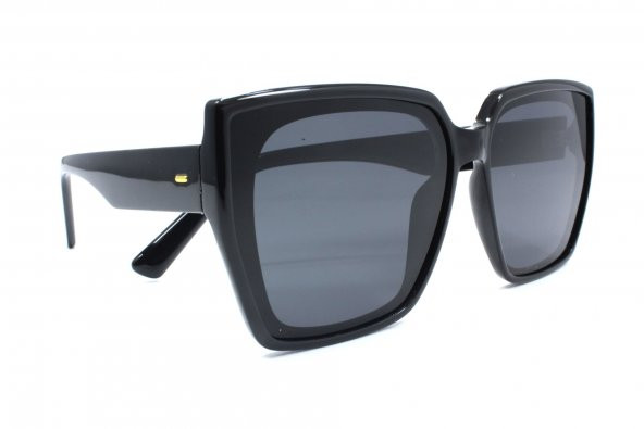 1096 C6 61 Polo Exchange Polarize Güneş Gözlüğü - 2