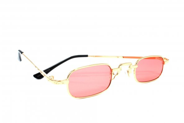 6295 Retro Metal Pink 57 Polo Exchange Güneş Gözlüğü - 2