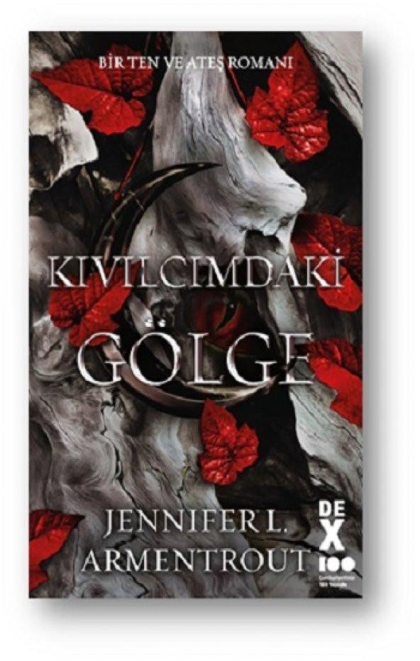 Kıvılcımdaki Gölge - Bir Ten ve Ateş Romanı