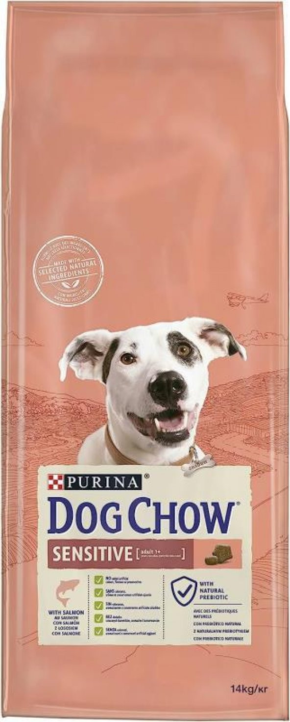 Dog Chow Somonlu Yetişkin Köpek Maması 14 Kg