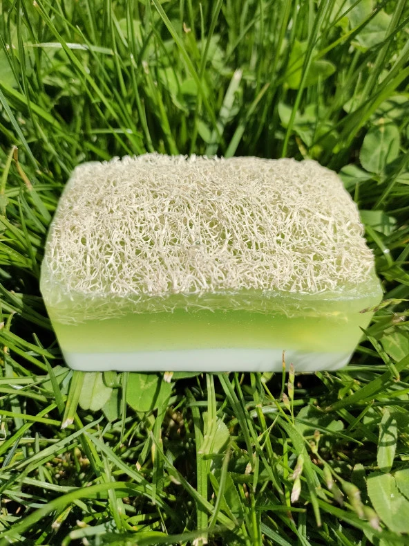 Doğal Kabak Lifli Sütlü Aloe Vera Sabun - 2