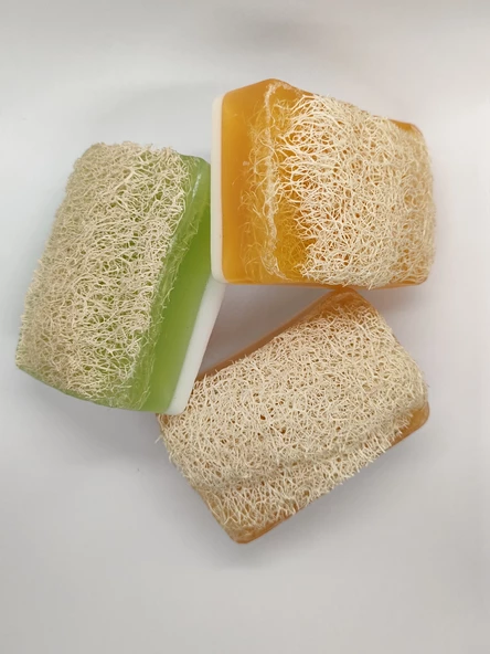 Doğal Kabak Lifli Ballı Eşek Sütü + Keçi Sütü + Aloe Vera 3'lü Sabun - 3