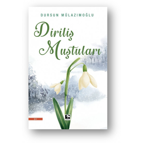 DİRİLİŞ MUŞTULARI ürün görseli