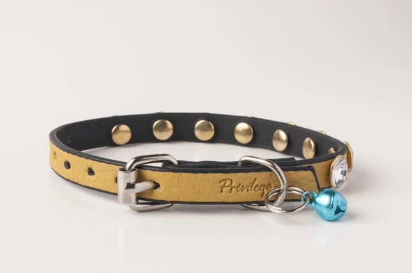 Privilege Swarovski Taşlı Kedi Tasması Sarı - Resim 2