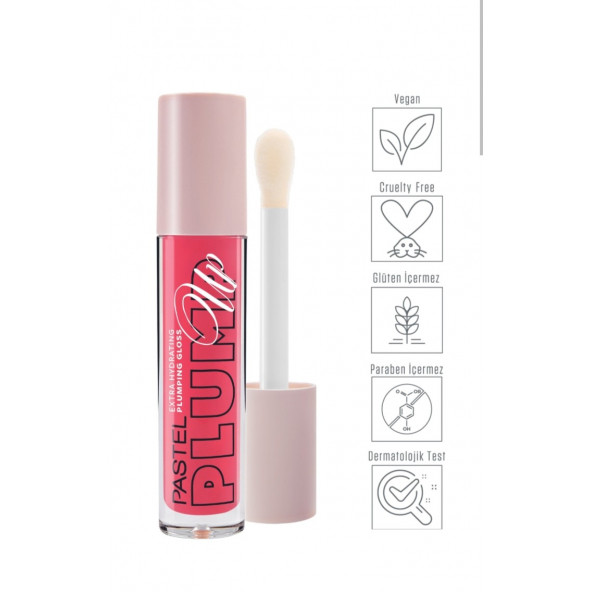 Pastel Plump Up Gloss 204 Sweet Spicy