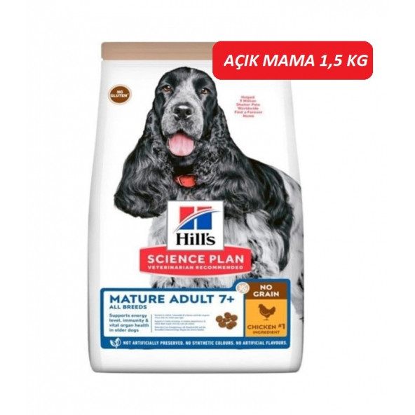 Hill's Tahılsız Tavuklu Yaşlı Köpek Maması 1.5 KG