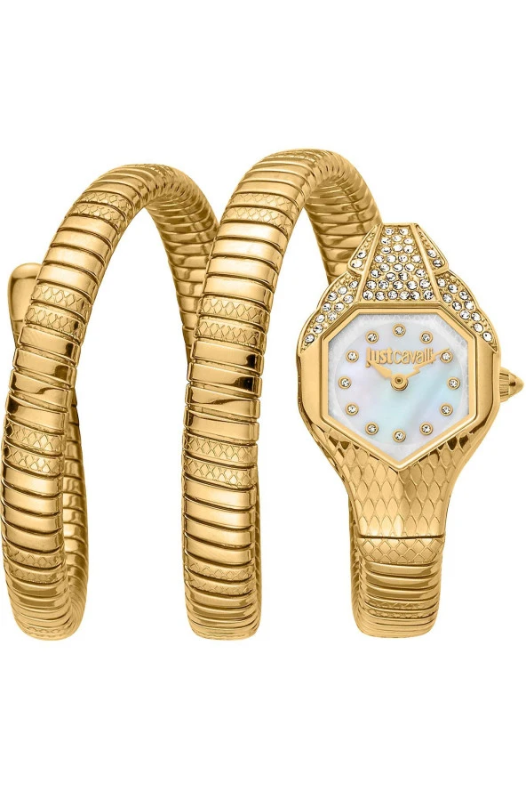 JUST CAVALLI JC1L193M0025 Kadın Kol Saati ürün görseli