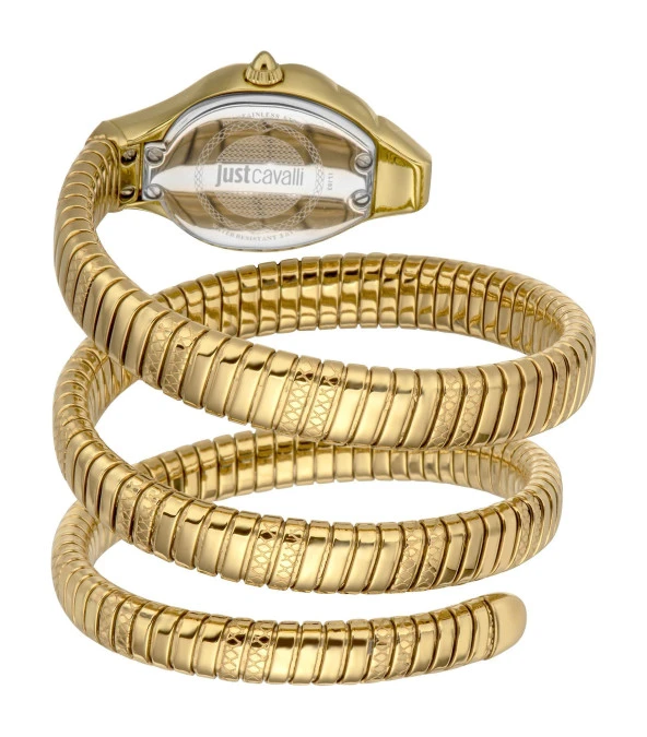 JUST CAVALLI JC1L193M0025 Kadın Kol Saati - Resim 3