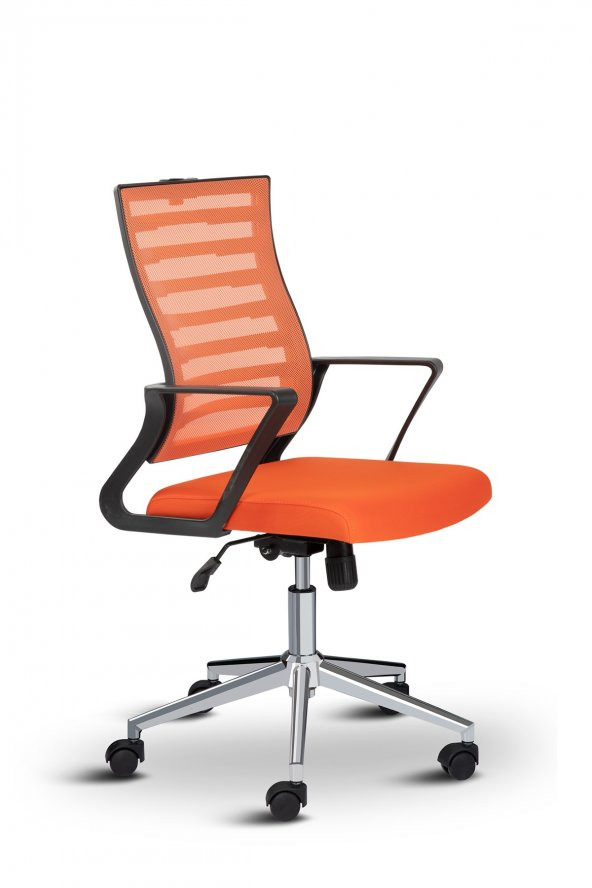 Asbir Mobilya Capri Fileli Ev Ofis Koltuğu Çalışma Koltuğu Bilgisayar Sandalyesi