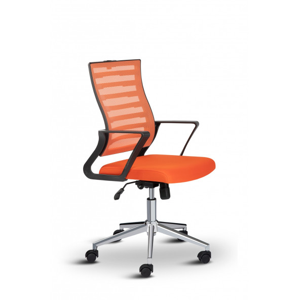 Asbir Mobilya Capri Fileli Ev Ofis Koltuğu Çalışma Koltuğu Bilgisayar Sandalyesi - 3