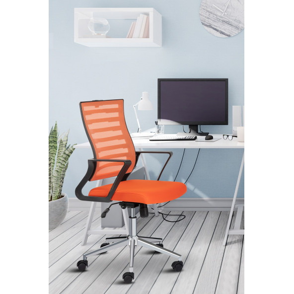 Asbir Mobilya Capri Fileli Ev Ofis Koltuğu Çalışma Koltuğu Bilgisayar Sandalyesi - 5