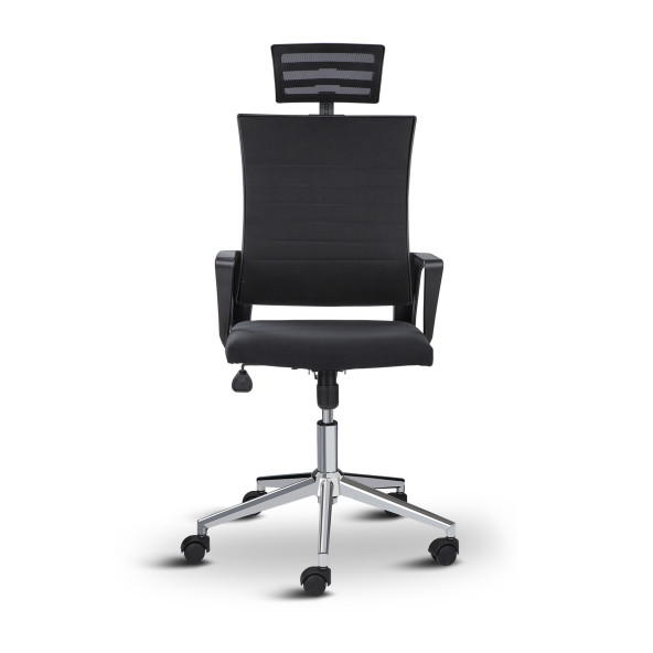 Asbir Mobilya Rigel Başlıklı 55300 Metal Ayaklı Çalışma Koltuğu Ofis Sandalyesi - 3