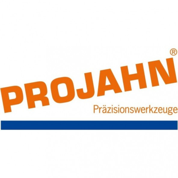 Projahn 33001-1 Tas Menteşe Freze Uç Seti 5 Parça - 2