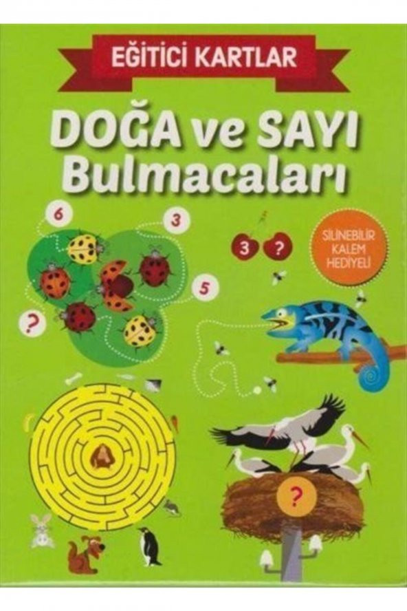 Doğa Ve Sayı Bulmacaları / Etkinlik Kartları