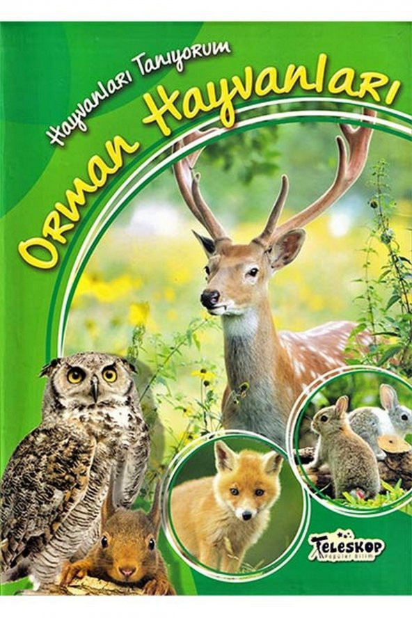 Orman Hayvanları / Hayvanları Tanıyorum