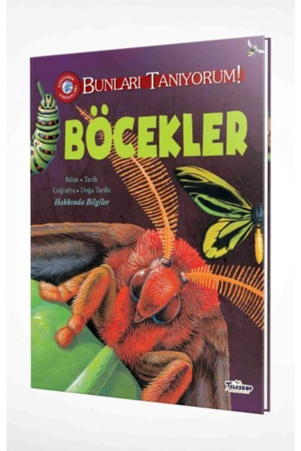 Bunları Tanıyorum! - Böcekler
