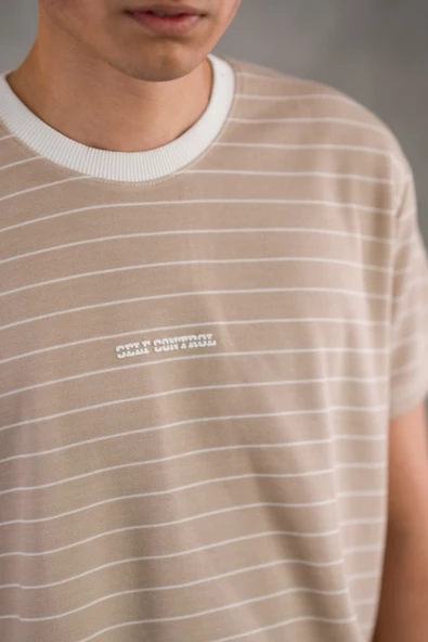 REGULER FİT BİSİKLET YAKA LİKRALI ÇİZGİLİ ERKEK YAZLIK T-SHİRT - Resim 11