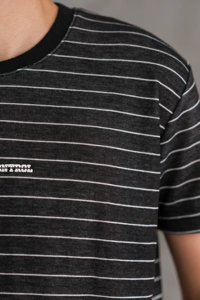 REGULER FİT BİSİKLET YAKA LİKRALI ÇİZGİLİ ERKEK YAZLIK T-SHİRT - Resim 5