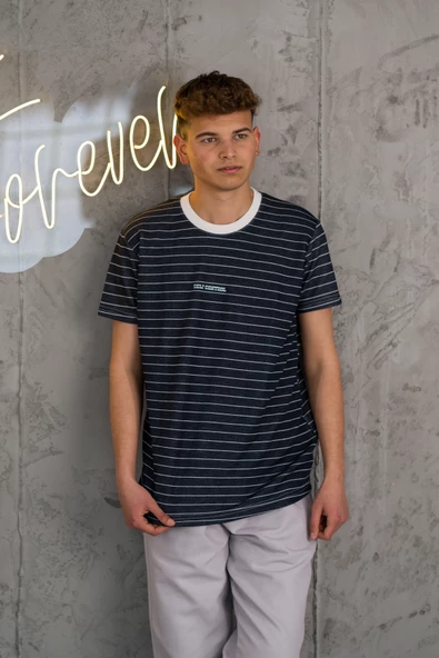 REGULER FİT BİSİKLET YAKA LİKRALI ÇİZGİLİ ERKEK YAZLIK T-SHİRT - Resim 12