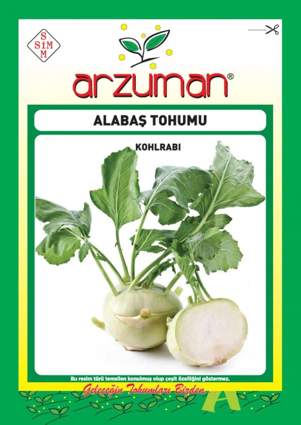 BEYAZ ALABAŞ TOHUMU 200 ADET TOHUM