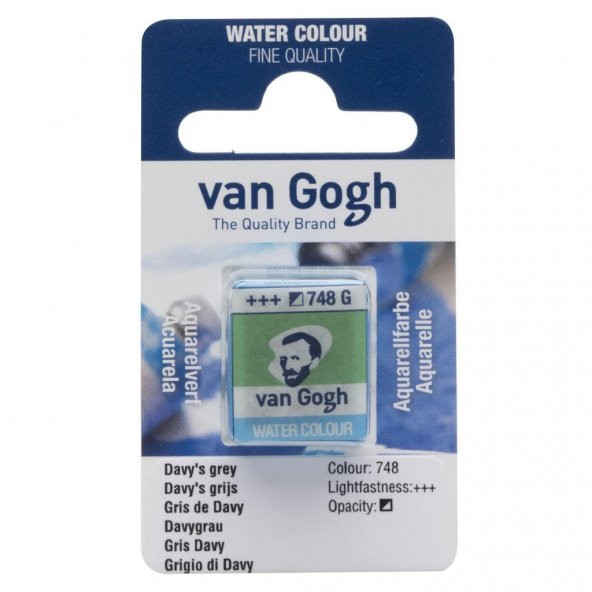 Talens Van Gogh Tablet Suluboya 1/2 Davys Grey 748