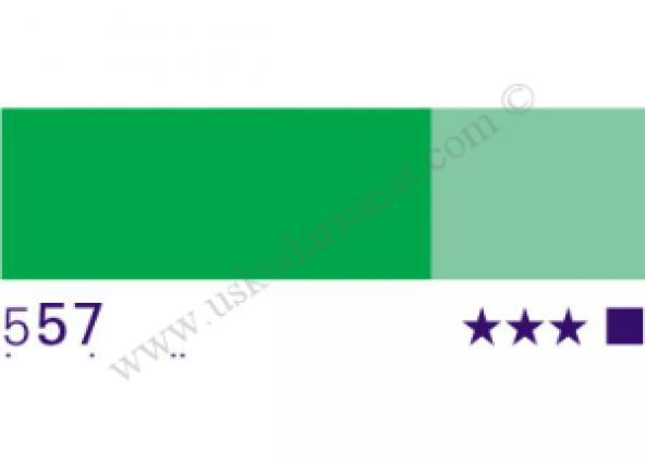 Schmincke HKS Designers Guaj Boya Tüp 20ml 557 leaf green ürün görseli 1