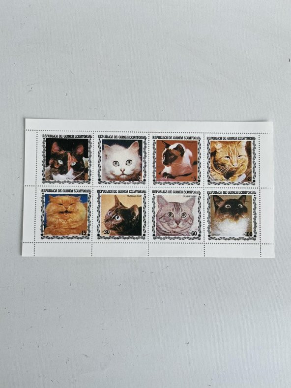 Kedi Temalı Ekvator Ginesi Damgasız 8'li Blok Pul - 2