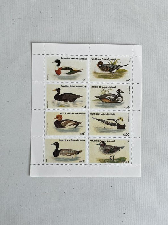 Ördek Temalı Ekvator Ginesi Damgasız 8'li Blok Pul - Resim 2