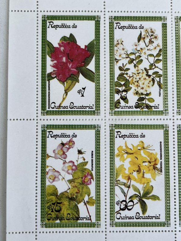 Çiçek Temalı Ekvator Ginesi Damgasız 8'li Blok Pul - 4