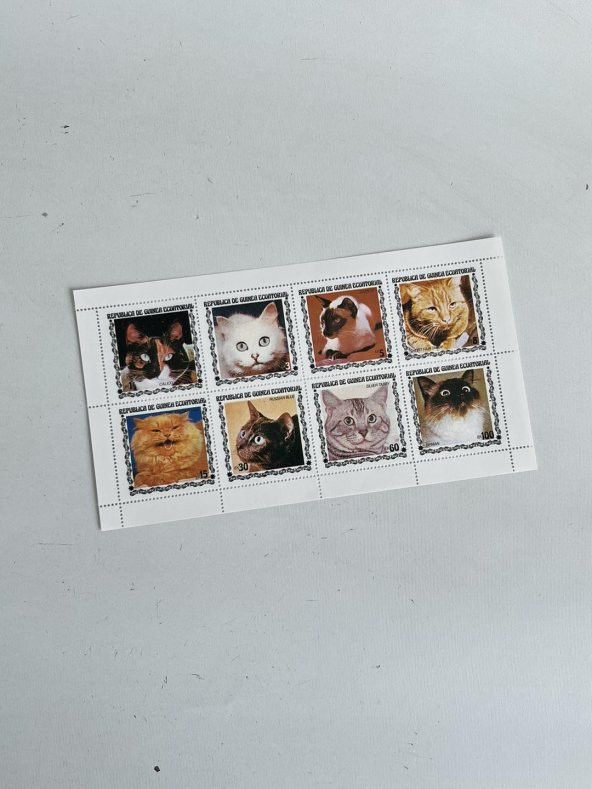 Kedi Temalı Ekvator Ginesi Damgasız 8'li Blok Pul - 3