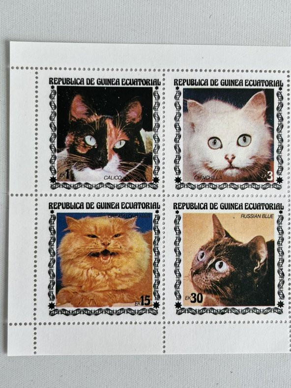 Kedi Temalı Ekvator Ginesi Damgasız 8'li Blok Pul - 4