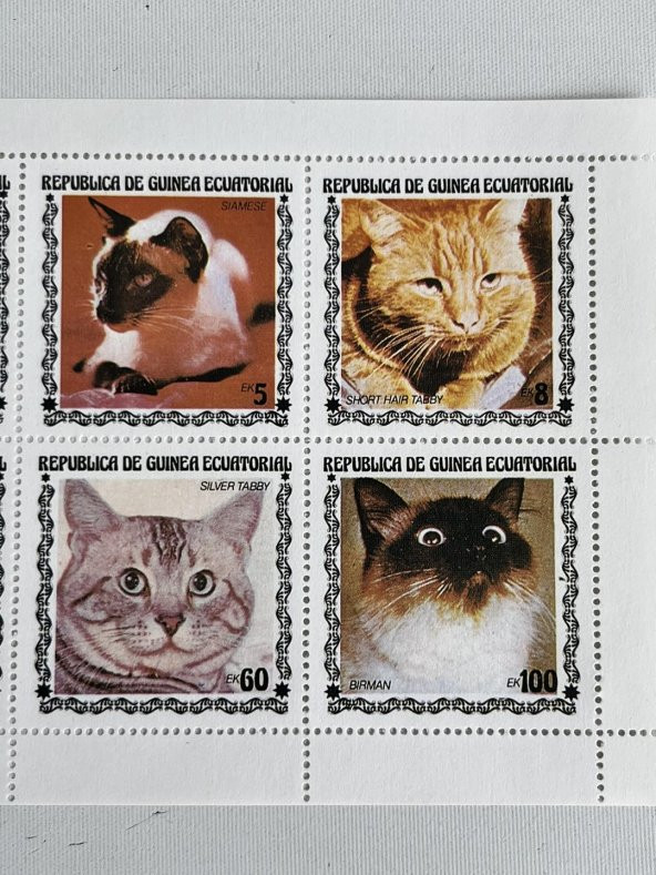 Kedi Temalı Ekvator Ginesi Damgasız 8'li Blok Pul - 5