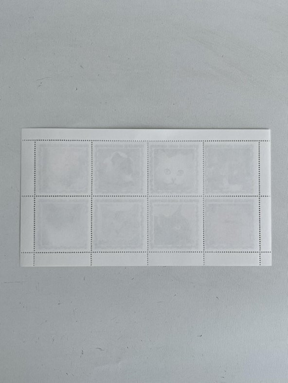 Kedi Temalı Ekvator Ginesi Damgasız 8'li Blok Pul - 6