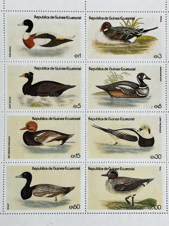 Ördek Temalı Ekvator Ginesi Damgasız 8'li Blok Pul - Resim 4