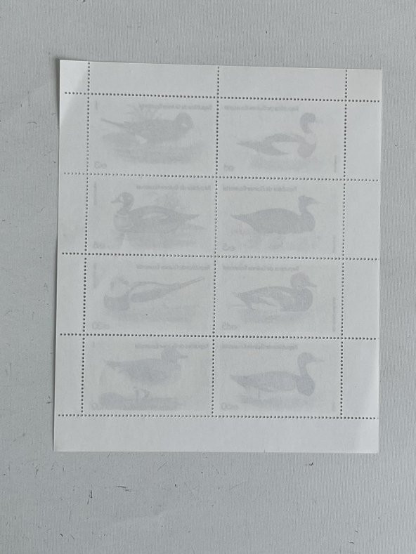 Ördek Temalı Ekvator Ginesi Damgasız 8'li Blok Pul - Resim 5