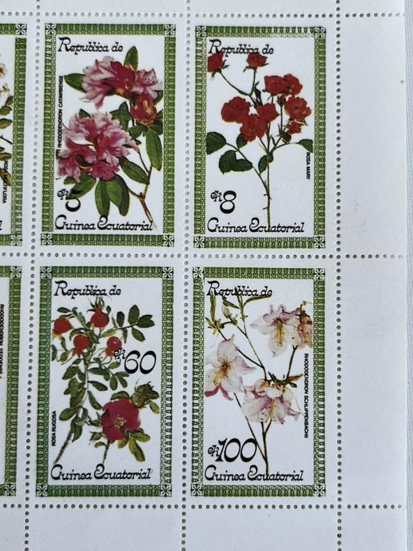 Çiçek Temalı Ekvator Ginesi Damgasız 8'li Blok Pul - 5