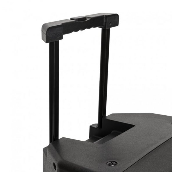 STAGG 15 TAŞINABİLİR HOPARLÖR AS15B - Resim 6