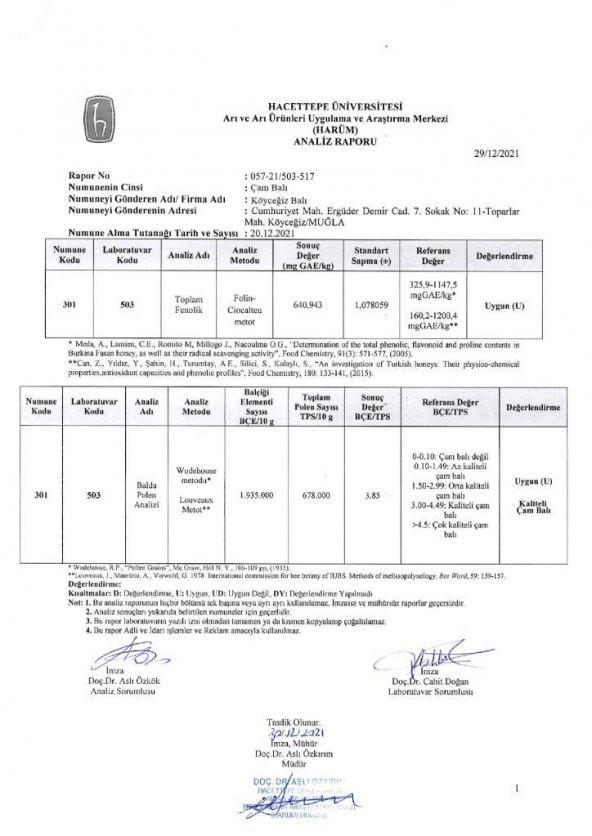 Kb Köyceğiz Balı Çam Balı 15 Kg Teneke - 6