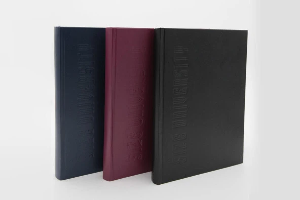 Dilman Defter Üniversite Sert 300 Yp Çizgili