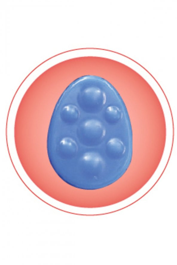 Variteks 883 Epikondilit Bandajı Tenisçi Bandajı Cırtlı Destek Bantlı Variteks Ref 883 - 2