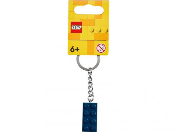 LEGO Brick 854237 Earth Blue 2x4 Keyring