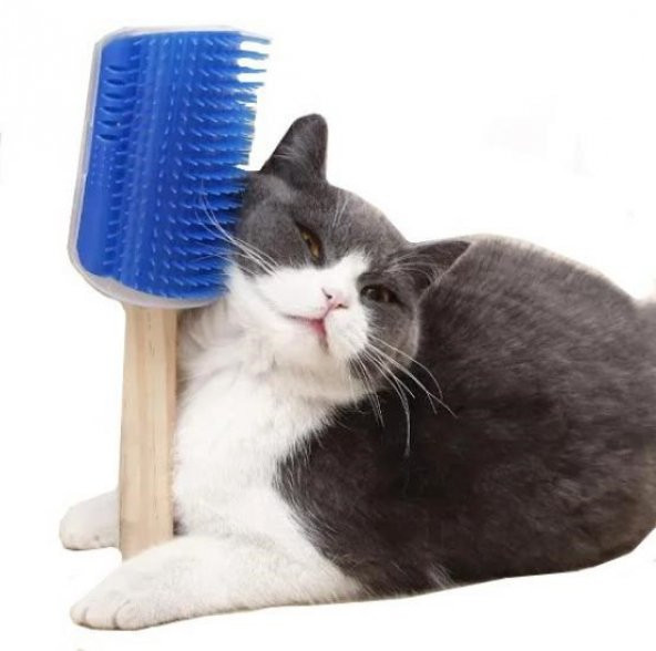Masajlı Kedi Kaşınma Aparatı Kapıya Takılan Kaşıma Aparatı Kedi Köpek Kaşıma Aparatı - 4